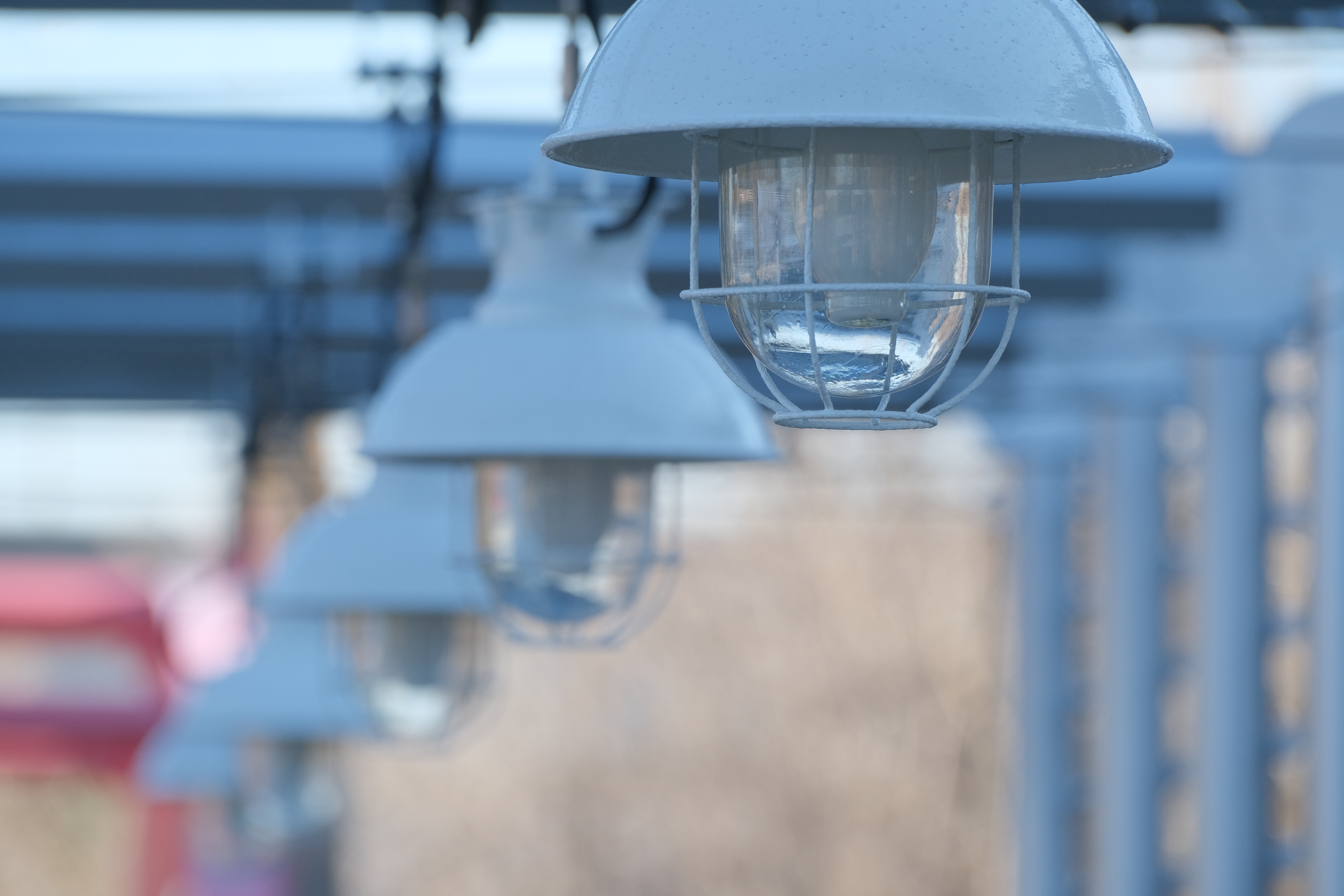 <span class="fnt-85">X-T4 / XF70-300mmF4-5.6R LM WR OIS（185mm：277.5mm相当） / プログラムAE（F5.6・1/320秒・+1.0EV） / ISO 400</span>