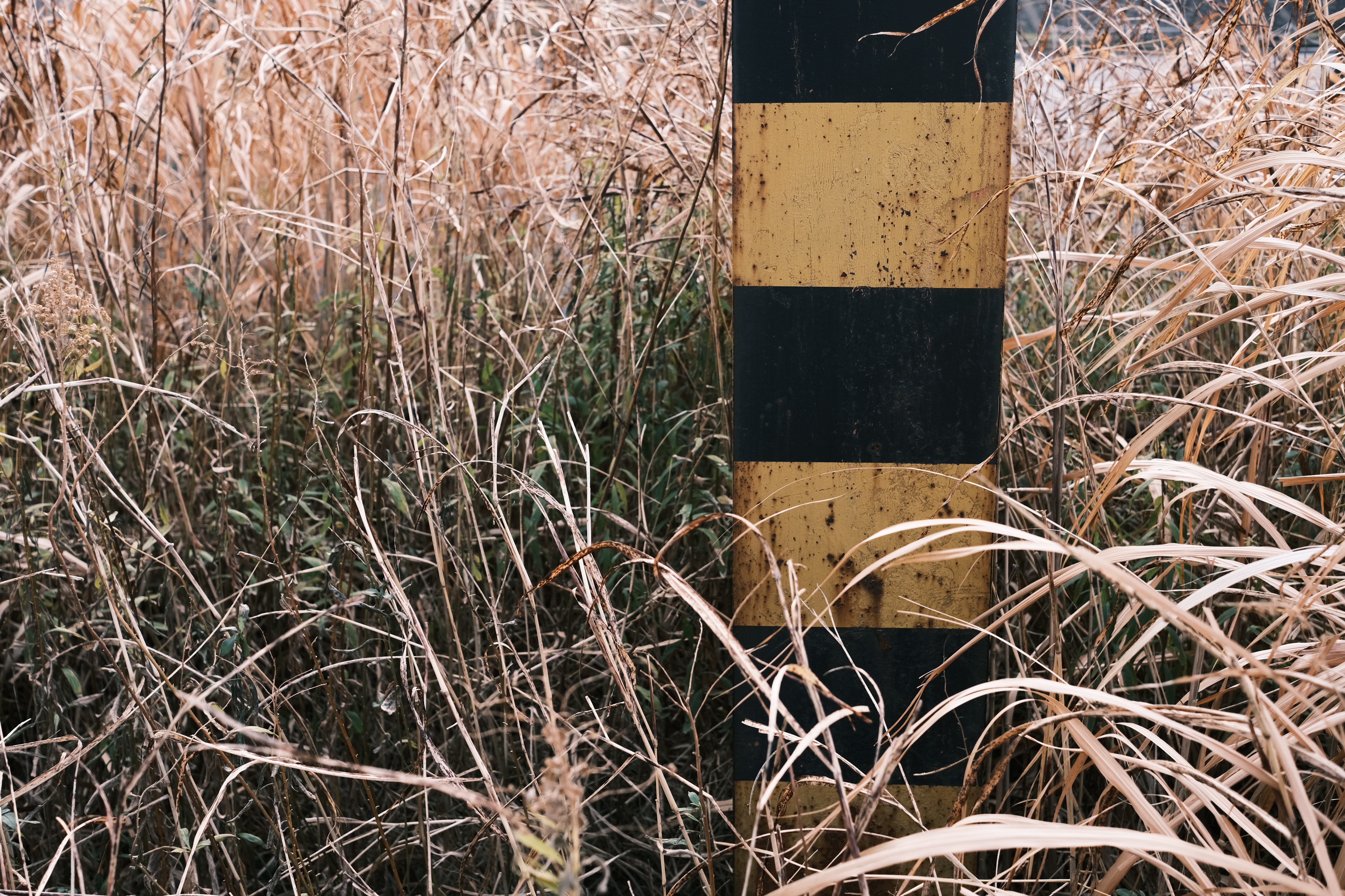 <span class="fnt-85">X-E4 / XF27mmF2.8 R WR / プログラムAE（F4.5・1/350秒・±0EV） / ISO 320</span>