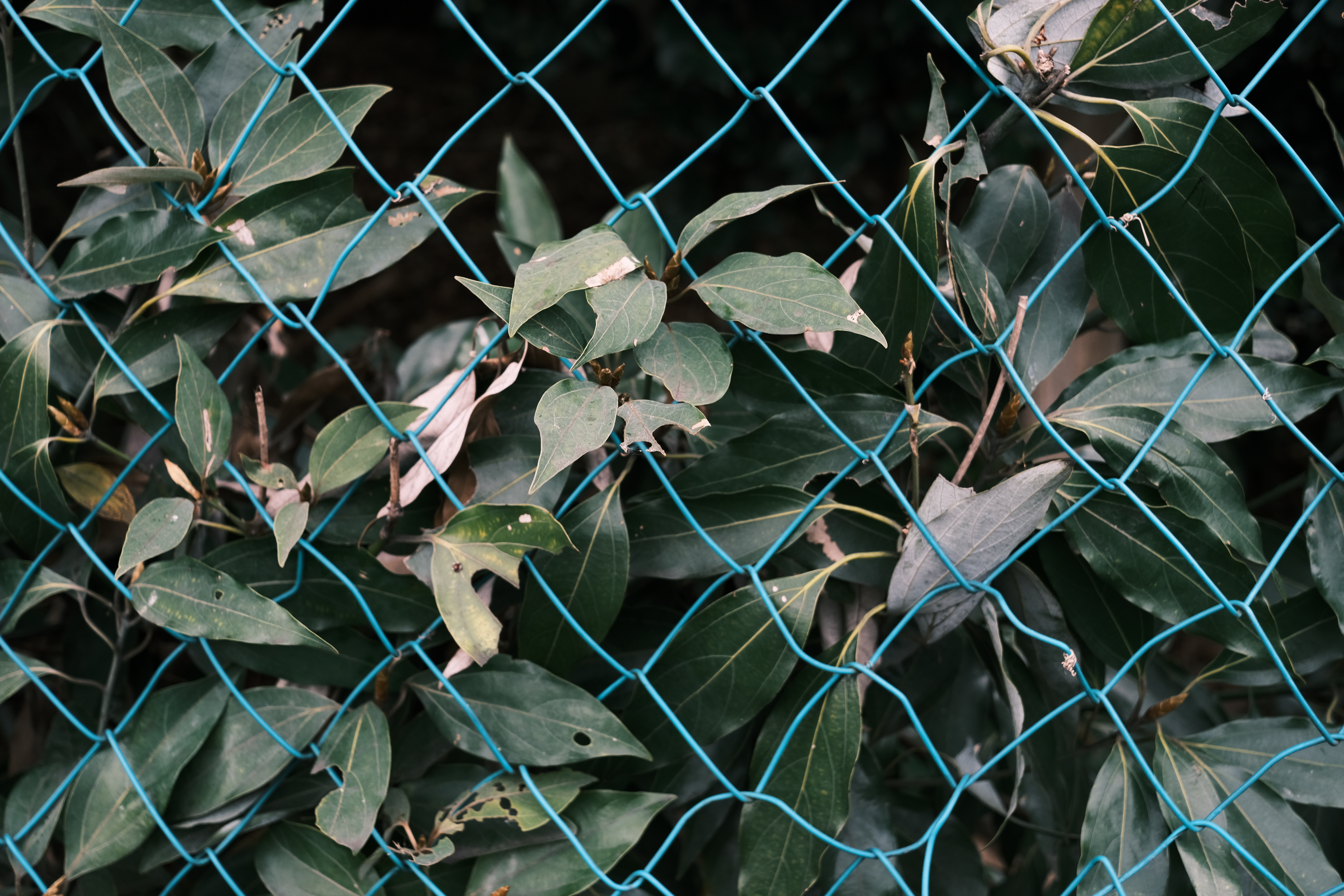 <span class="fnt-85">X-E4 / XF27mmF2.8 R WR / プログラムAE（F4・1/220秒・-0.3EV） / ISO 320</span>