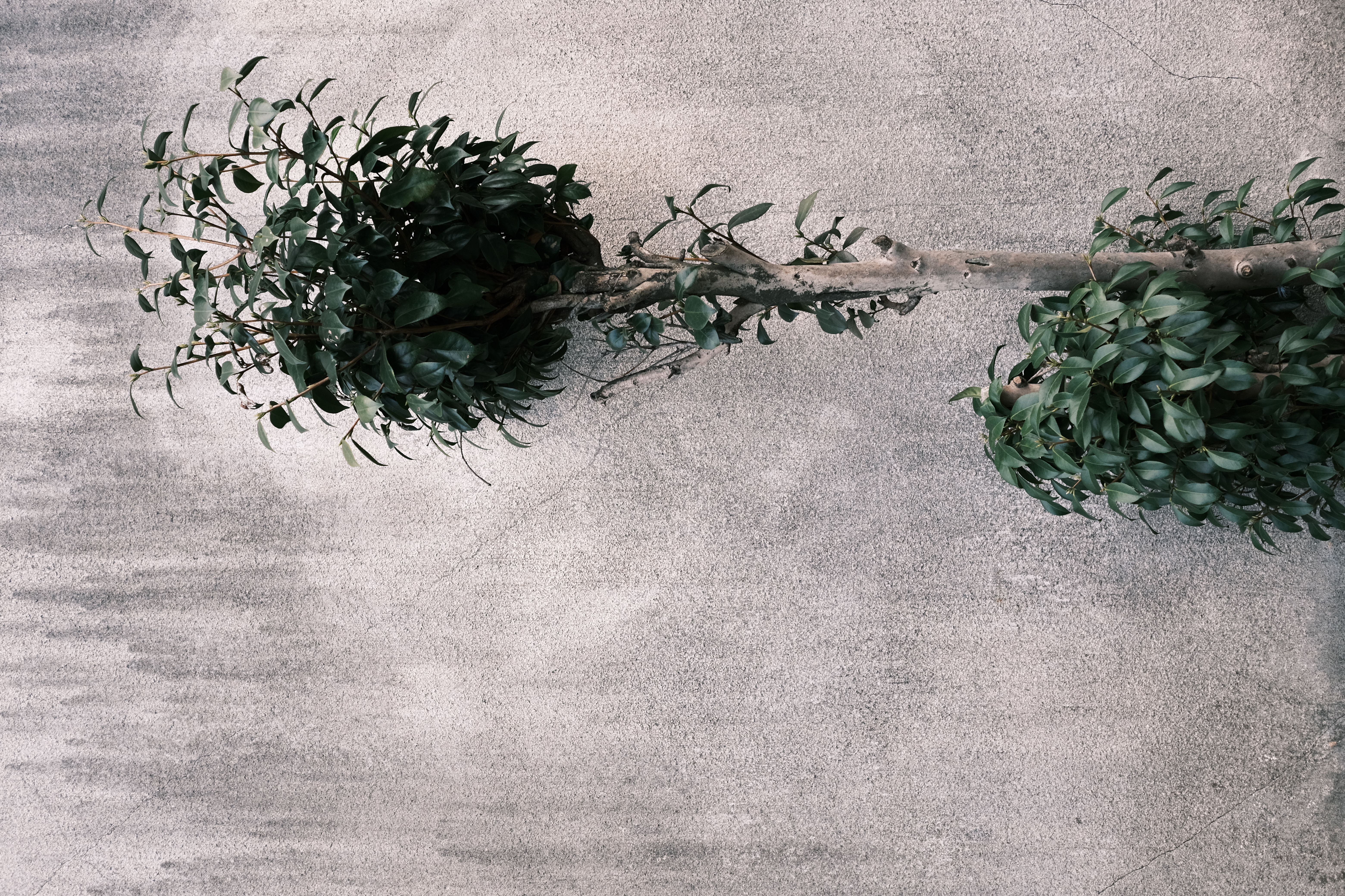 <span class="fnt-85">X-E4 / XF27mmF2.8 R WR / 絞り優先AE（F4・1/450秒・-0.3EV） / ISO 400</span>