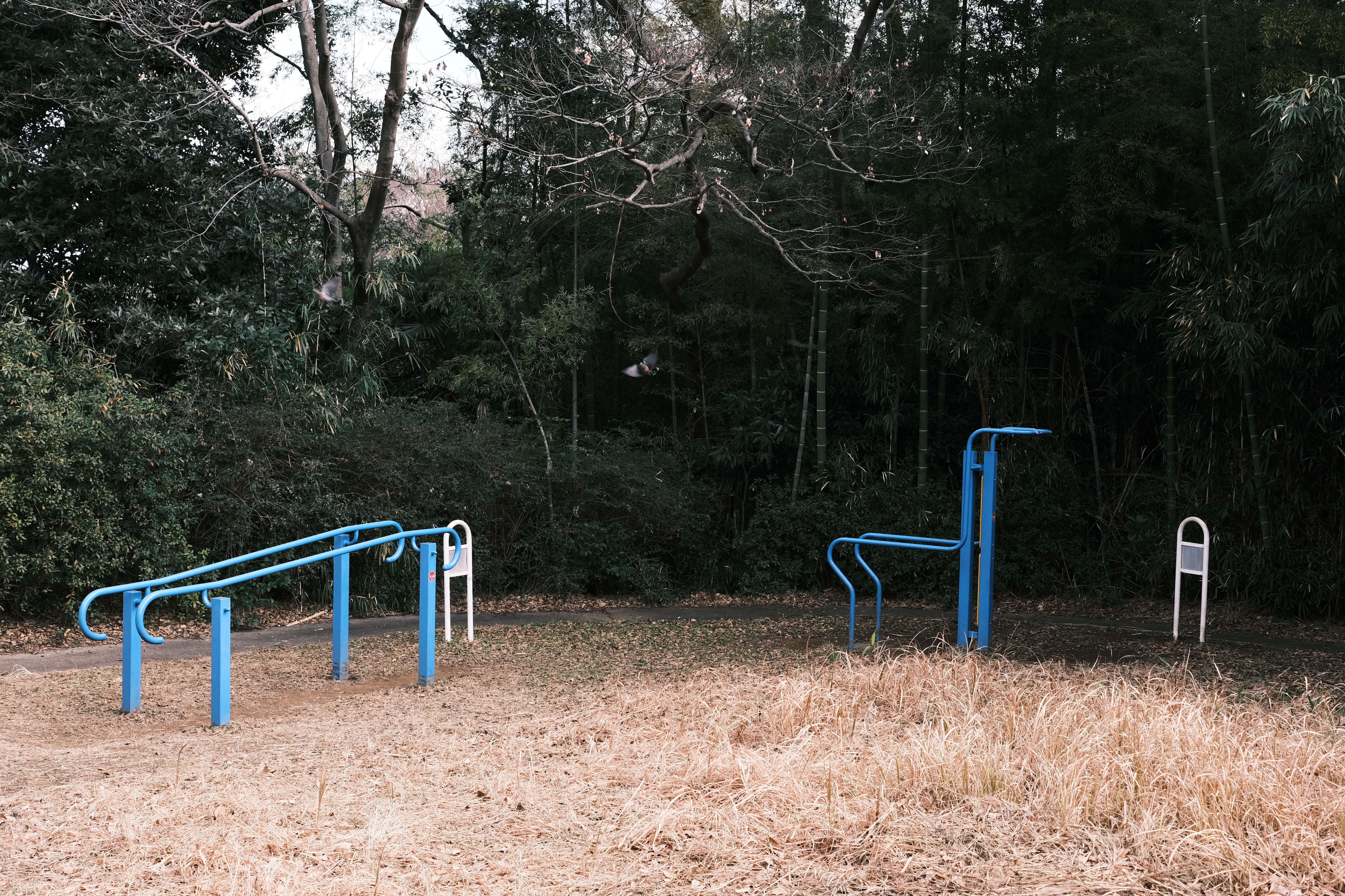 <span class="fnt-85">X-E4 / XF27mmF2.8 R WR / プログラムAE（F5.6・1/200秒・-0.3EV） / ISO 320</span>