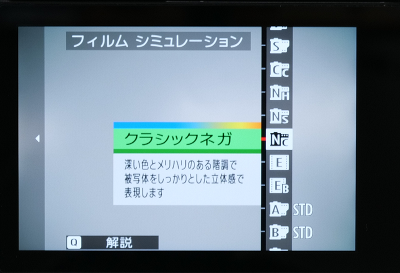 クラシックネガ