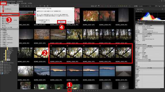 パナソニック　フォトビュアー 特別企画：快速・快適な画像ビューアソフト「Photo ExpressViewer