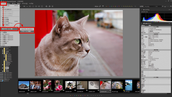 特別企画：快速・快適な画像ビューアソフト「Photo ExpressViewer