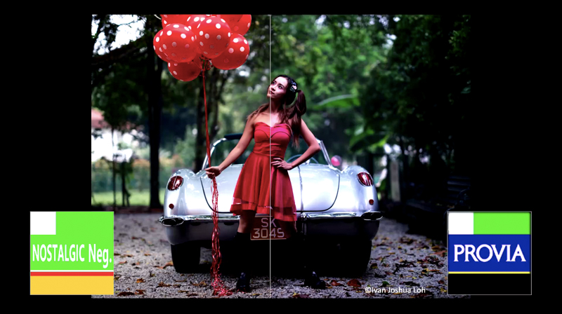 PROVIAとノスタルジックネガの描写比較（製品説明会スライドより）