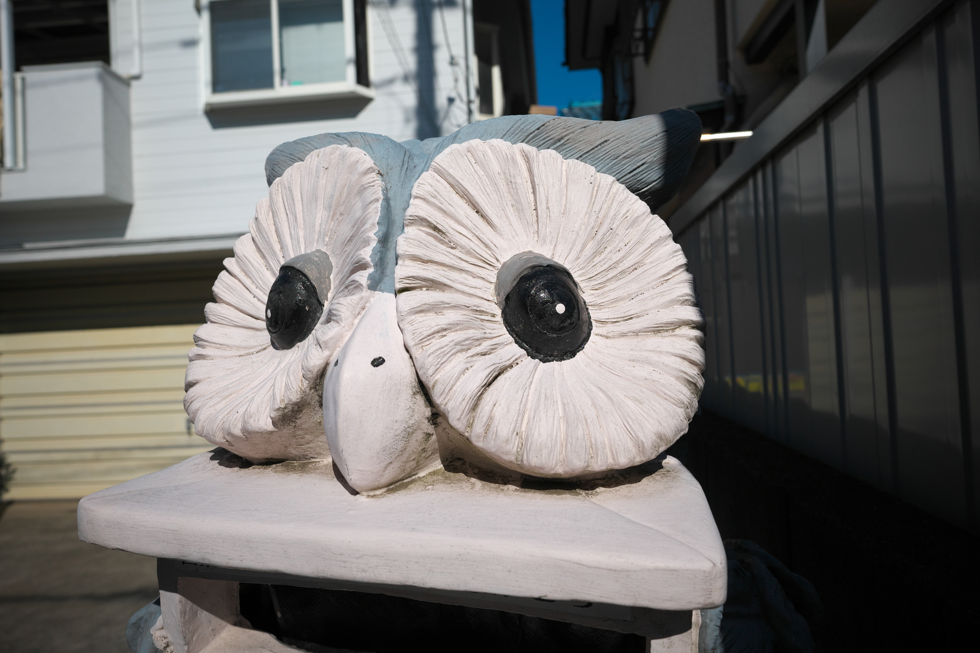 フクロウのポスト。LUMIX S5との相性が良く、このカメラのために設計されたんじゃないのかと思えるくらいフットワークが向上する感じがします。自動書記、いや自動撮影している感覚で目に留まるものはバンバン撮りたくなります。AFは本当にちゃんと合わせてますよね？と訊きたくなるほど静粛、高速です。シャープでヌケの良い描写です。<br>LUMIX S5　SIGMA 24mm F3.5 DG DN（F8・1/4,000秒）ISO 400