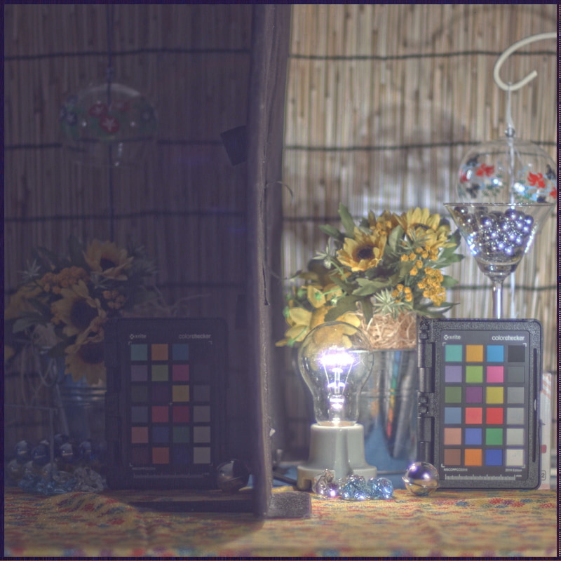 ダイナミックレンジが広いため、暗部も明部も撮像できる。