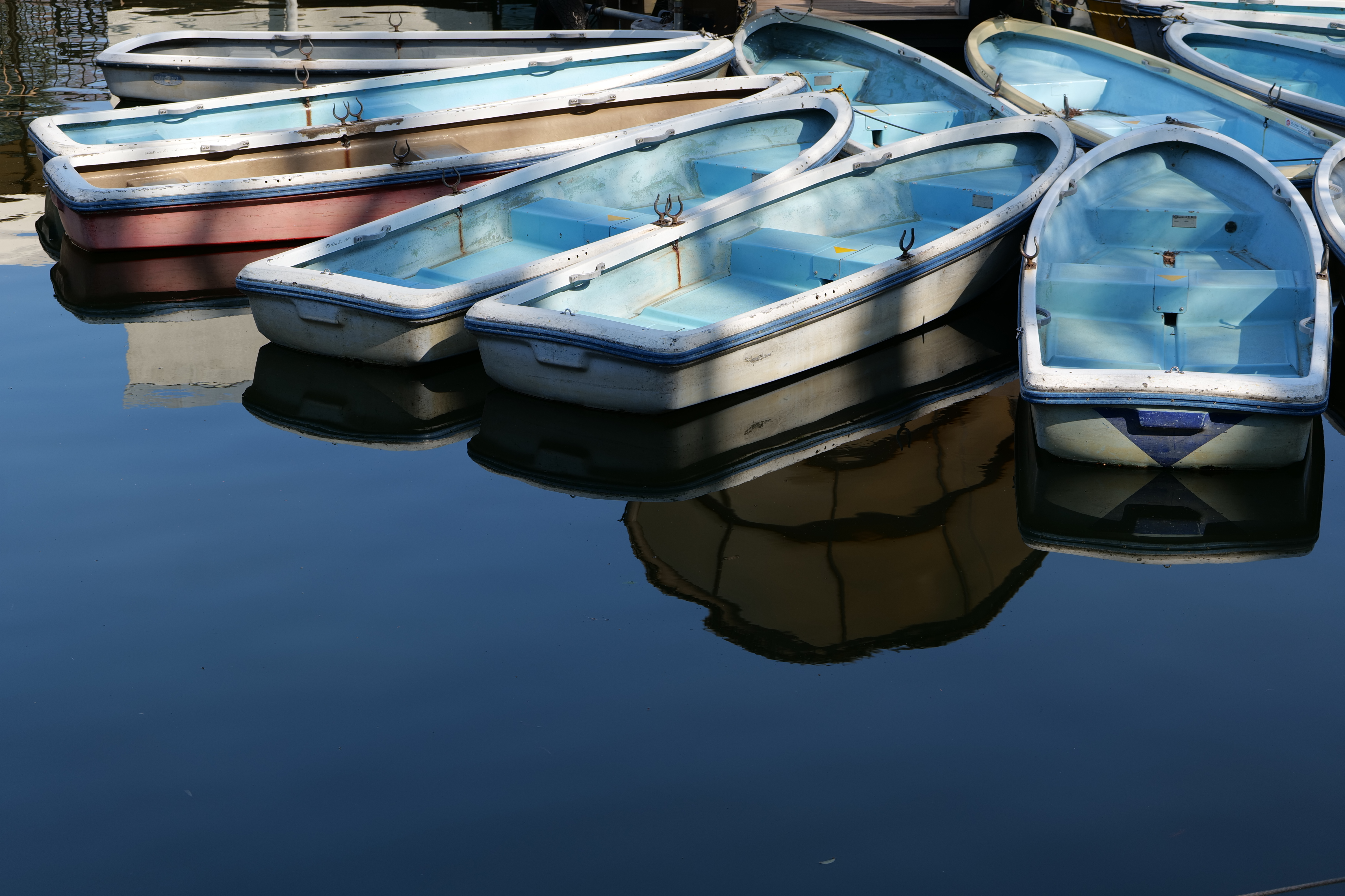 <span class="fnt-85">LUMIX S5 / LUMIX S 70-300mm F4.5-5.6 MACRO O.I.S.（71mm） / 絞り優先AE（F5.6・1/250秒・-0.7EV） / ISO 100</span>