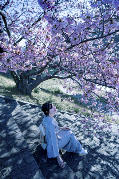 作品名「flower」 360度カメラで撮影して編集したアート作品です。 藤の花！﻿ ﻿ ﻿ ここはカメラ買ったばかりの頃に来た場所で