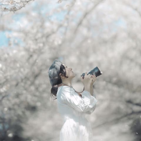 作品名「flower」 360度カメラで撮影して編集したアート作品です。 ニコン NIKKOR Z 135mm f/1.8 S Plena レビュー｜究極の玉ボケが