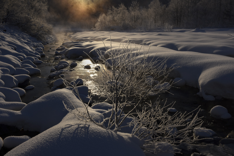 厳冬の川辺で息づく小さな命を撮影した。一瞬の川霧の変化をG4のチルトノブを回しワンアクションでフレームに加えた。ロックをしたまま即座に状況対応できるところがいい。<br><span class="fnt-85">D810 / AF-S NIKKOR 24-70mm f/2.8G ED / 40mm / 絞り優先AE（F2.8、1/200秒・-0.7EV） / ISO 400 / WB:オート</span>