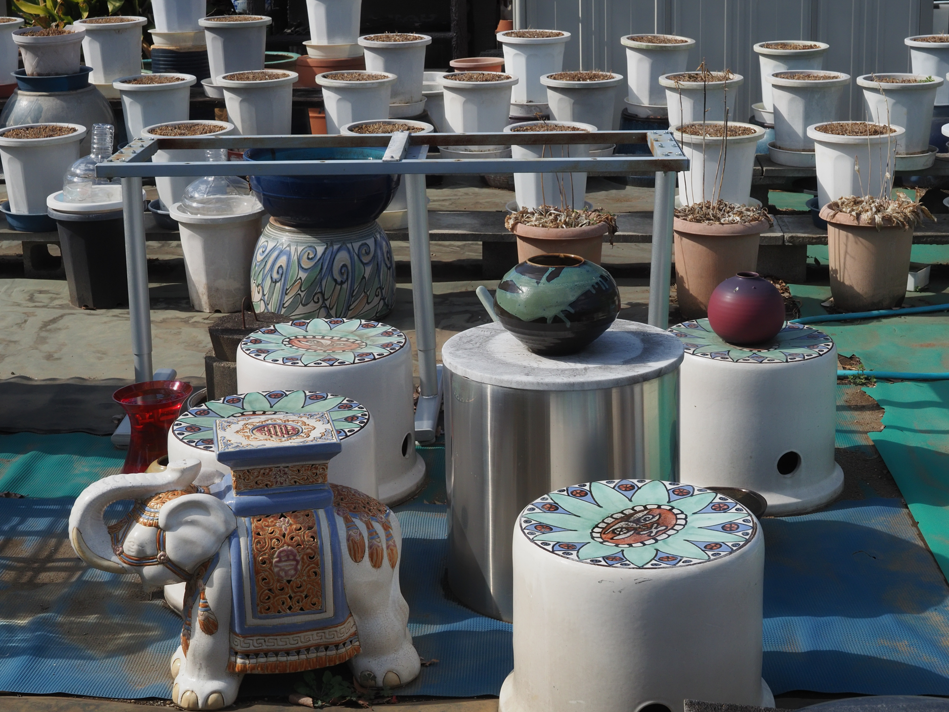 E-M1 Mark II　ZUIKO DIGITAL ED 12-60mm F2.8-4.0 SWD（F11・1/500秒）ISO 400