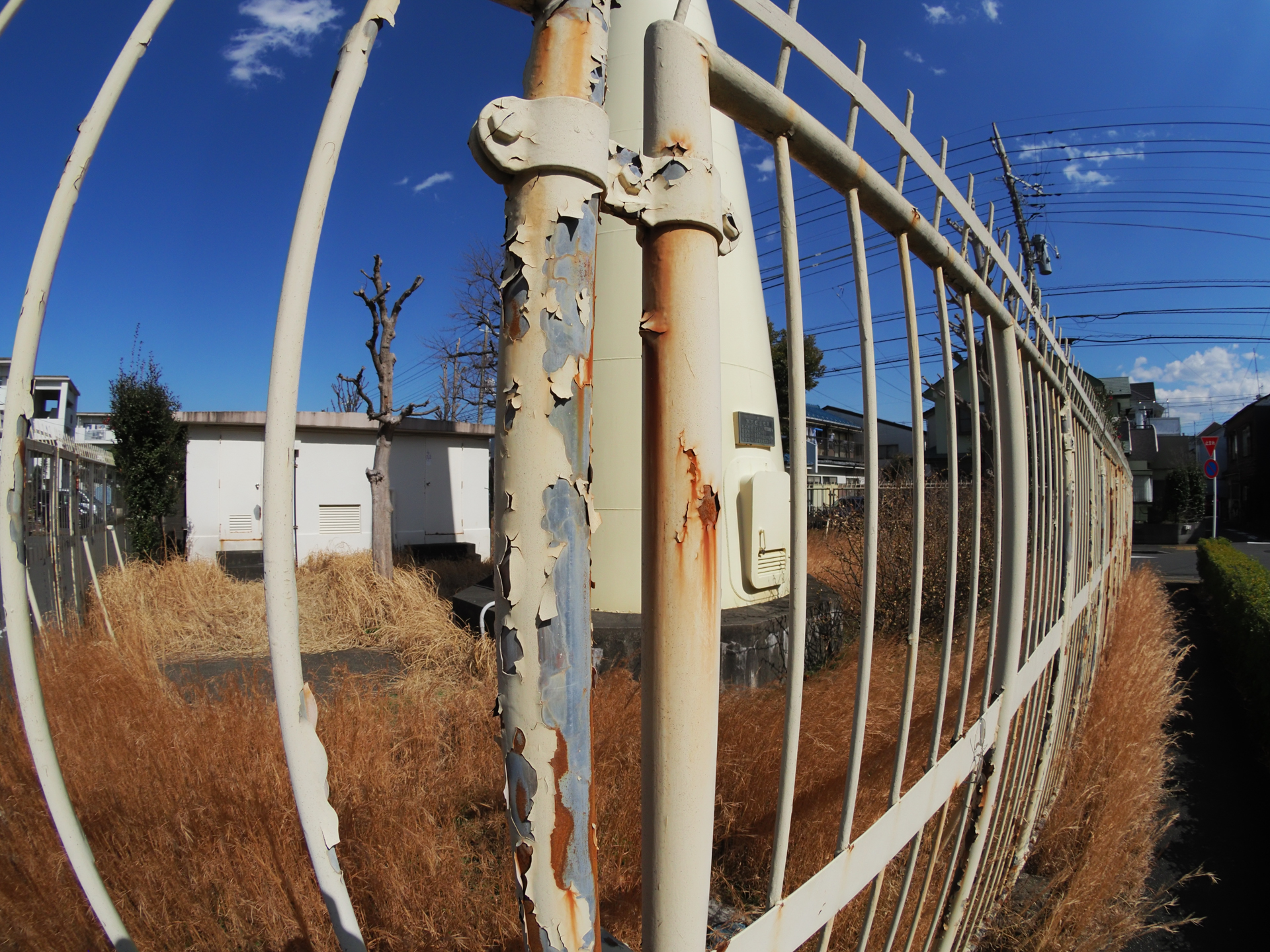 E-M1 Mark II　ZUIKO DIGITAL ED 8mm F3.5 Fisheye（F11・1/2,500秒）ISO 400
