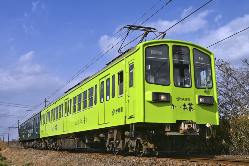 Nikon Z 7II / NIKKOR Z 24-200mm f/4-6.3 VR / 32.5 mm / シャッター優先 / 1/1,000秒 / F5.6 / ISO 100 / WB:オート