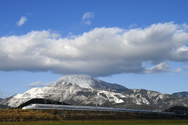 Nikon Z 7II / NIKKOR Z 24-200mm f/4-6.3 VR / 37 mm / シャッター優先 / 1/1,000秒 / F5.6 / ISO 100 / WB:オート