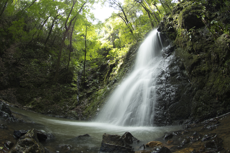 オリジナル画像