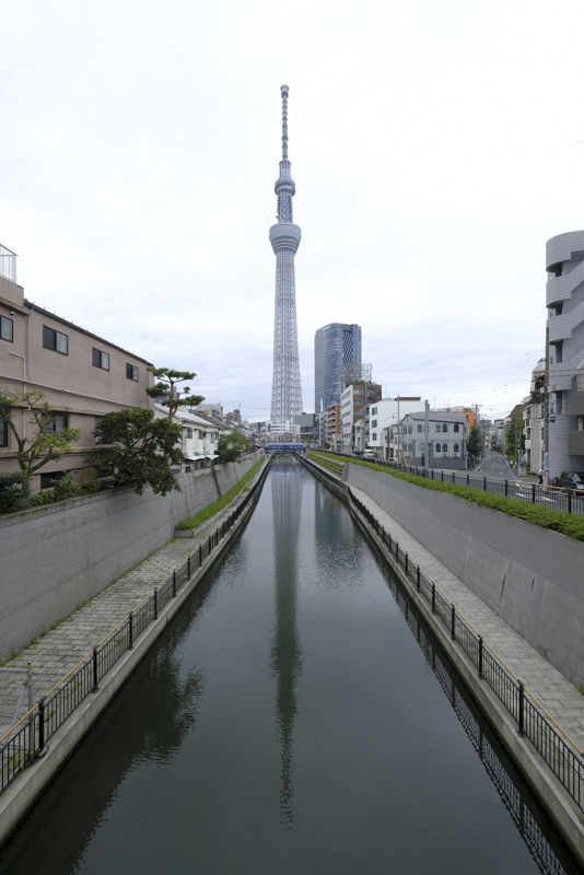 <span class="fnt-85">（作例提供：Skylum）</span>