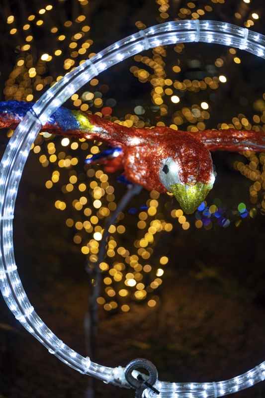 α7R IV / APO-LANTHAR 35mm F2 Aspherical / 絞り優先AE（1/125秒・F2.0・-1.0EV） / ISO 100