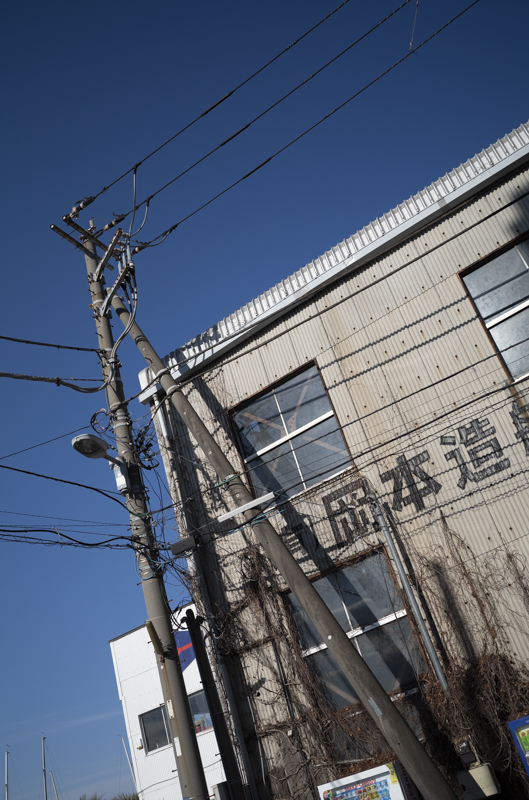 ライカM10-R / APO-LANTHAR 35mm F2 Aspherical / 絞り優先AE（1/1,000秒・F5.6・±0.0EV） / ISO 100