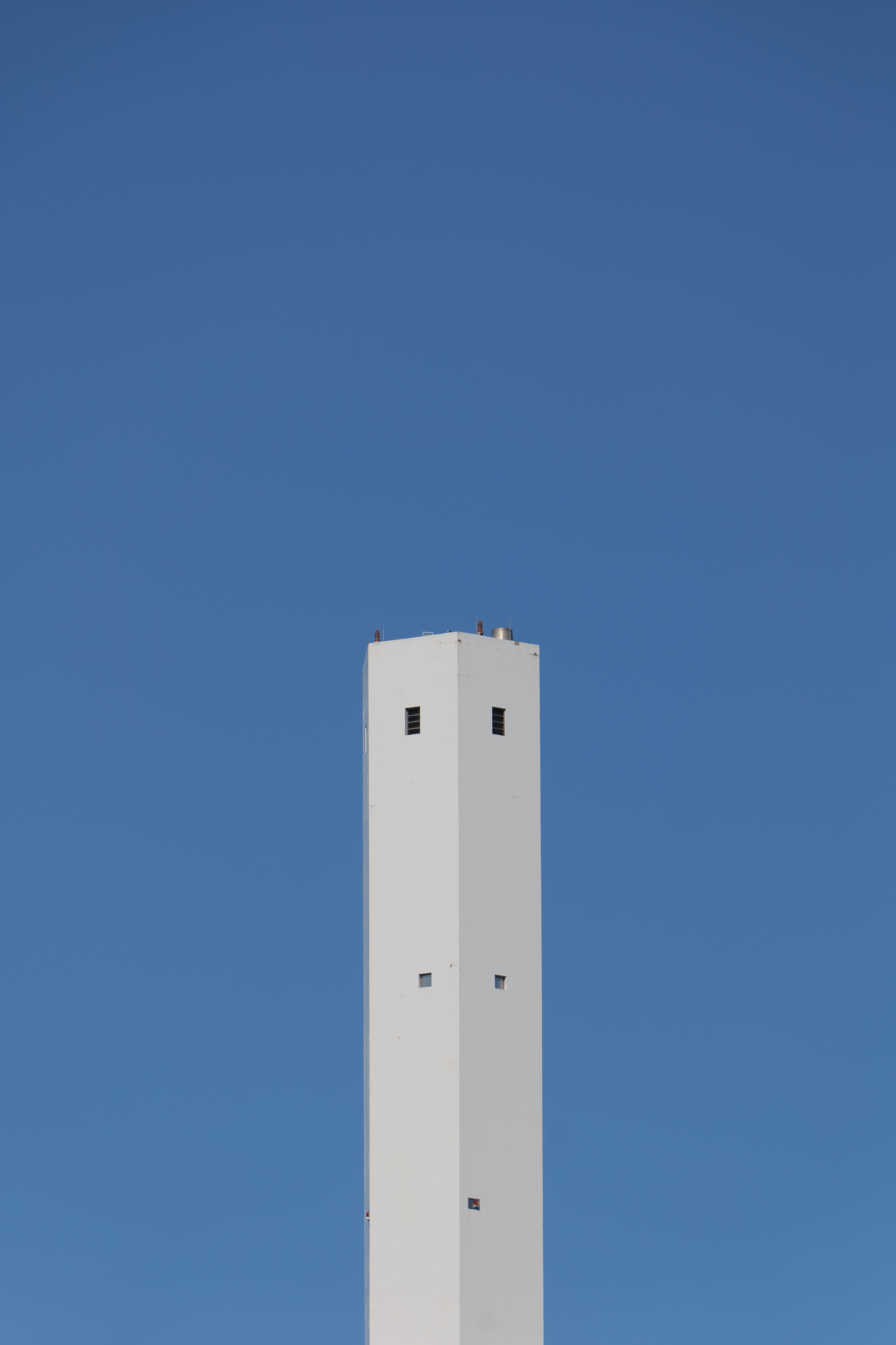 <span class="fnt-85">LUMIX S5 / LUMIX S 70-300mm F4.5-5.6 MACRO O.I.S.（300mm） / 絞り優先AE（F8・1/640秒・±0EV） / ISO 100</span>