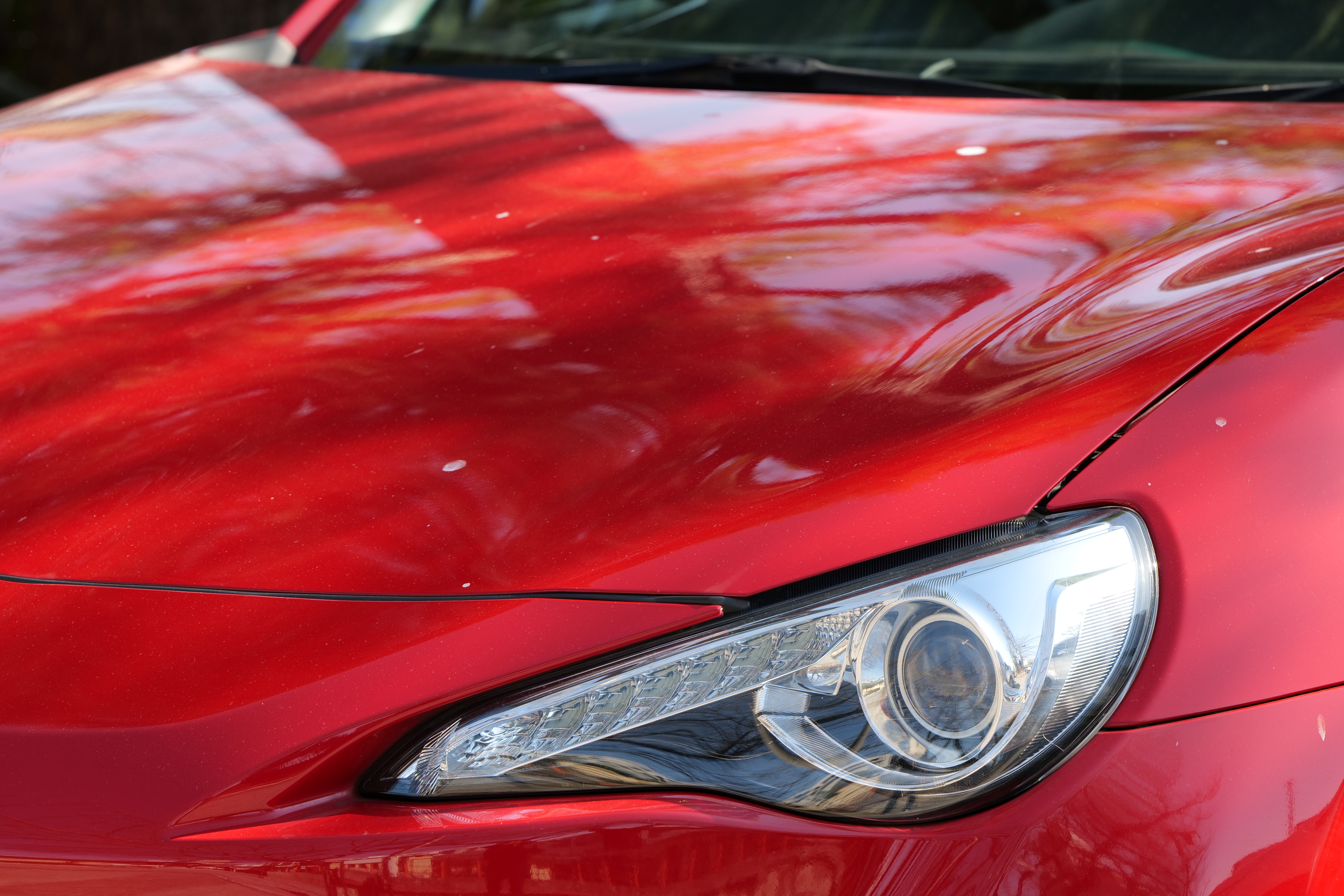 <span class="fnt-85">LUMIX S5 / LUMIX S 70-300mm F4.5-5.6 MACRO O.I.S.（200mm） / 絞り優先AE（F8・1/250秒・±0EV） / ISO 500</span>