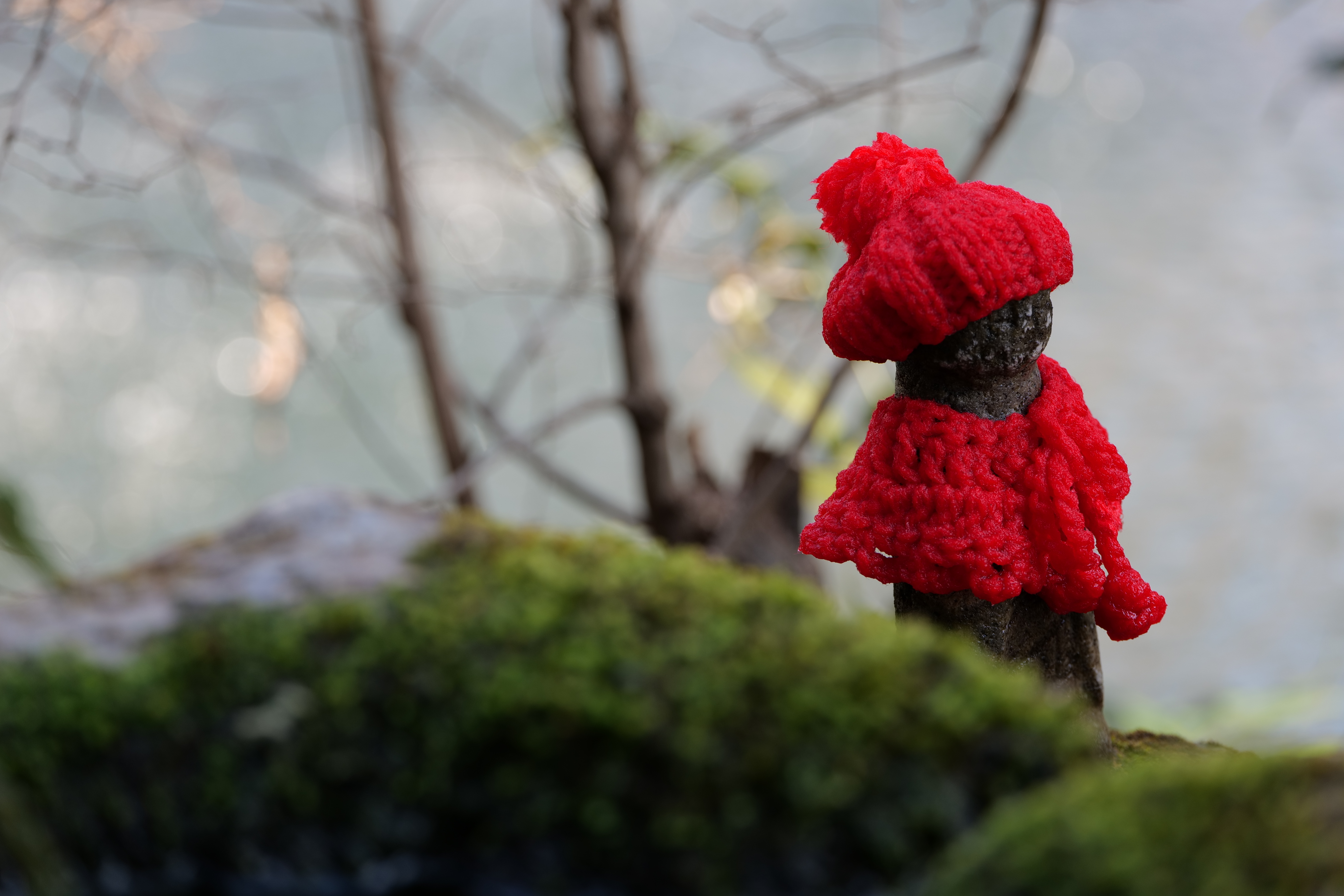 <span class="fnt-85">LUMIX S5 / LUMIX S 70-300mm F4.5-5.6 MACRO O.I.S.（101mm） / 絞り優先AE（F5・1/125秒・±0EV） / ISO 250</span>