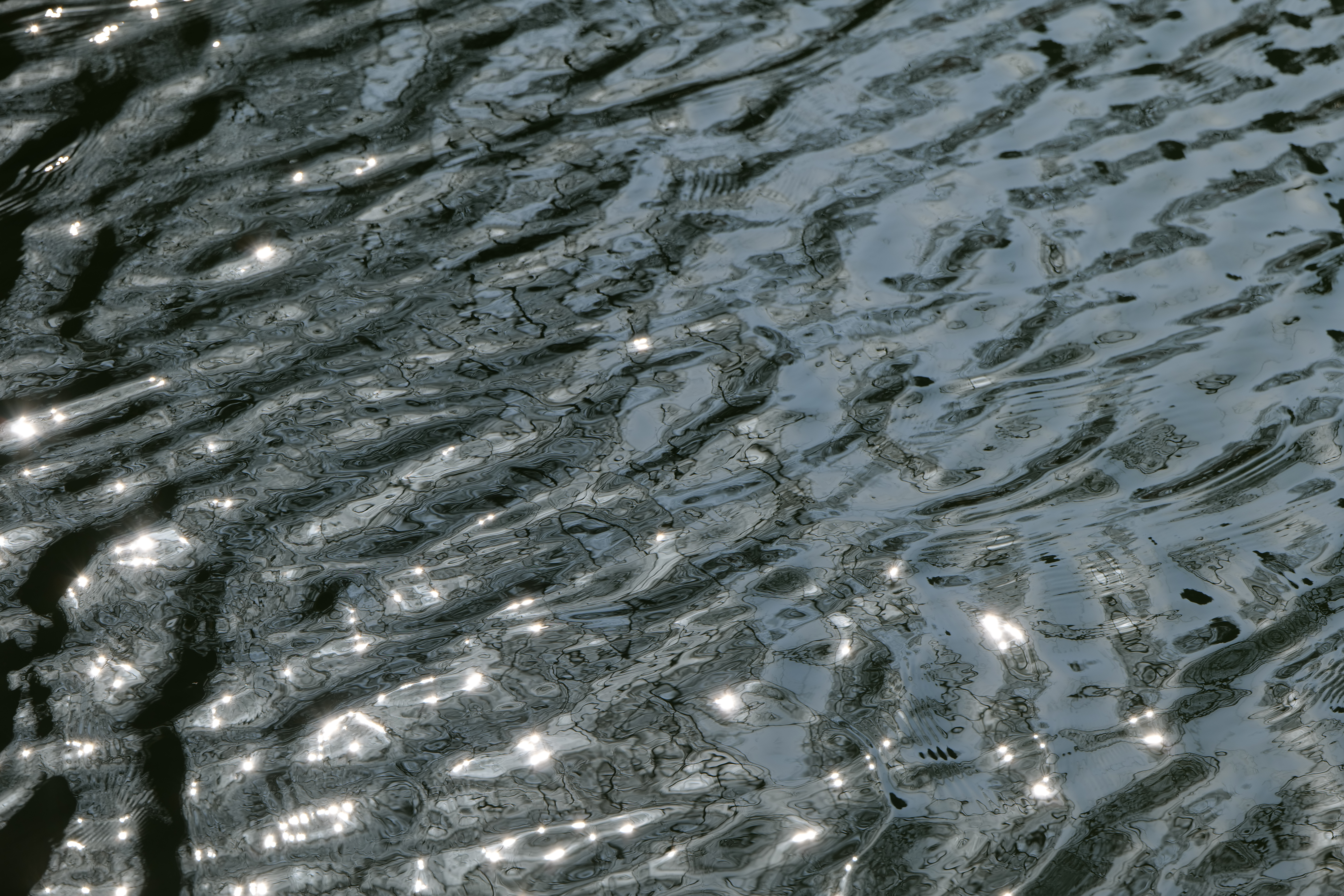 <span class="fnt-85">LUMIX S5 / LUMIX S 70-300mm F4.5-5.6 MACRO O.I.S.（135mm） / 絞り優先AE（F5.6・1/400秒・-0.3EV） / ISO 100</span>