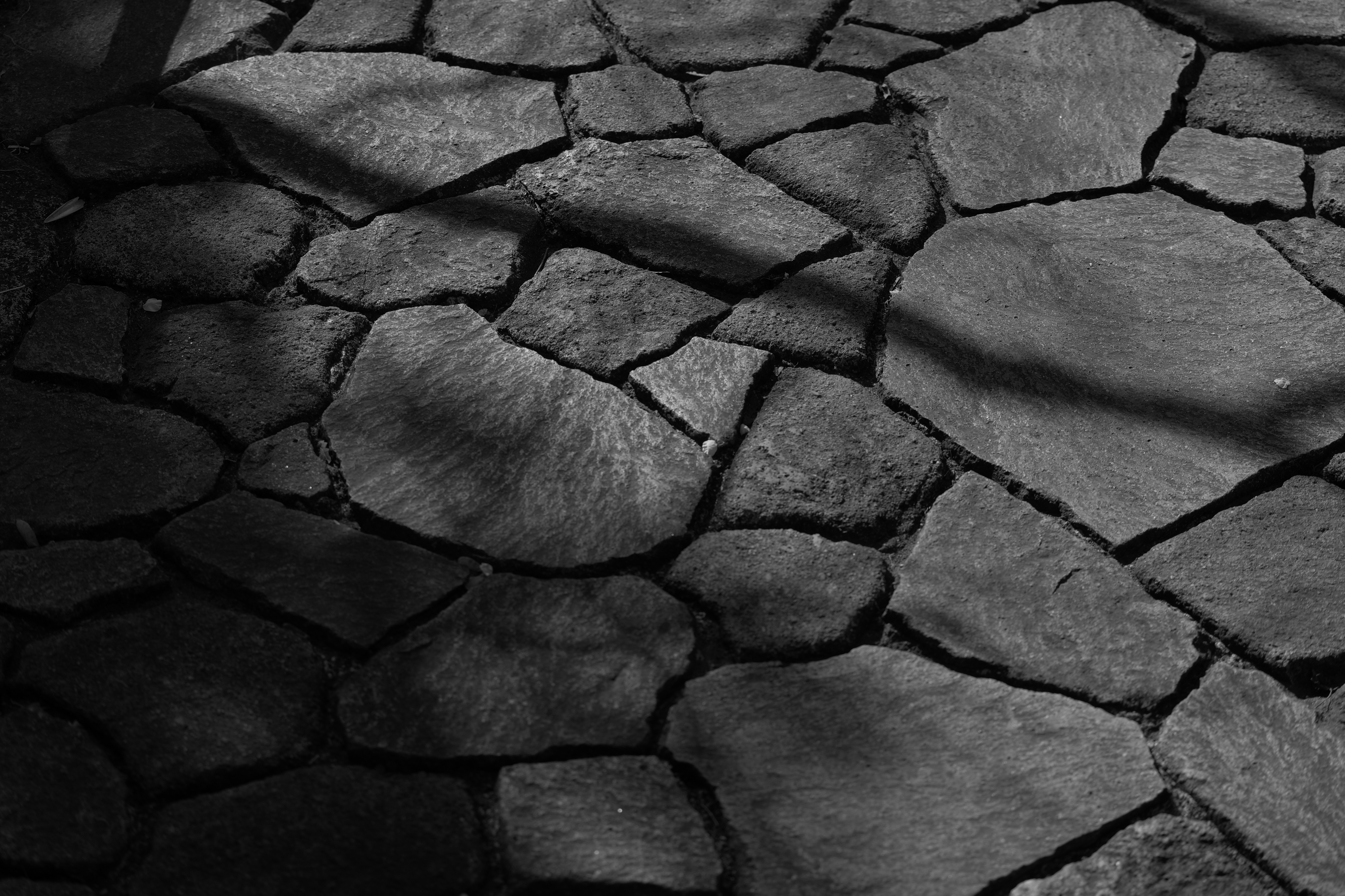 <span class="fnt-85">LUMIX S5 / LUMIX S 70-300mm F4.5-5.6 MACRO O.I.S.（71mm） / 絞り優先AE（F5.6・1/800秒・-2.0EV） / ISO 100</span>