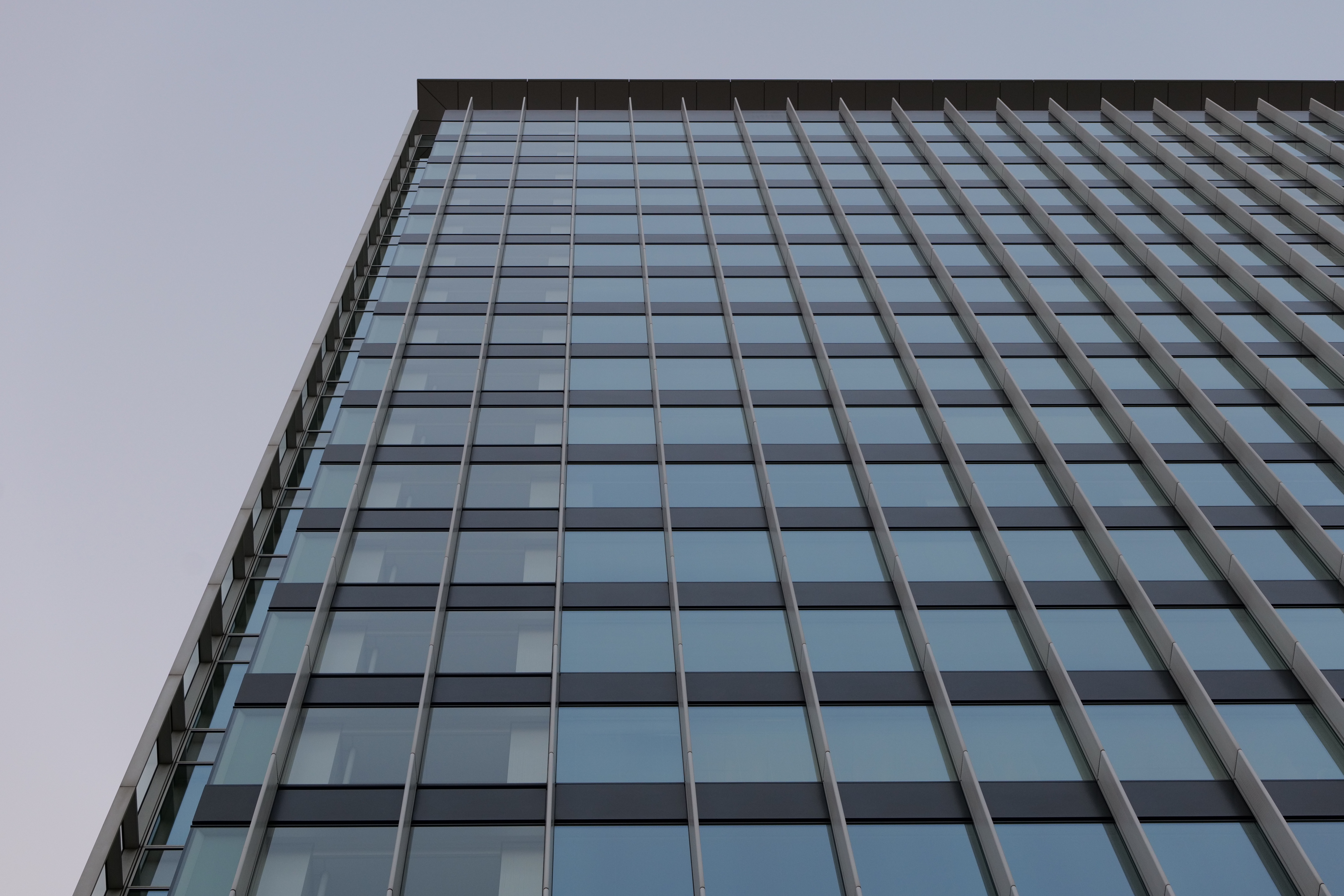 <span class="fnt-85">LUMIX S5 / LUMIX S 70-300mm F4.5-5.6 MACRO O.I.S.（70mm） / 絞り優先AE（F8・1/80秒・±0EV） / ISO 1000</span>