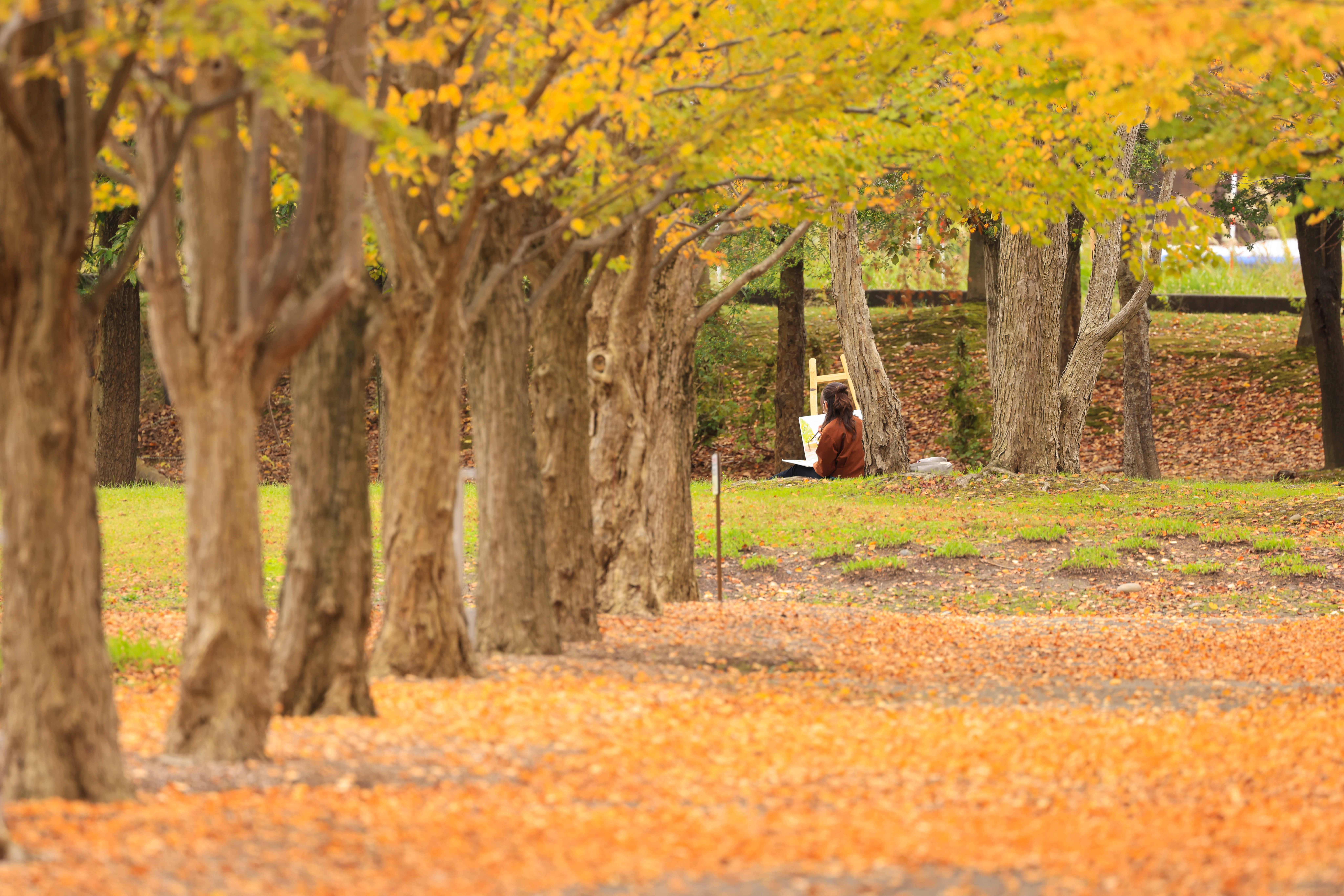 EOS R5 / RF100-500mm F4.5-7.1 L IS USM（500mm）/ 絞り優先AE（F7.1・1/125秒・+0.7EV）/ ISO 400