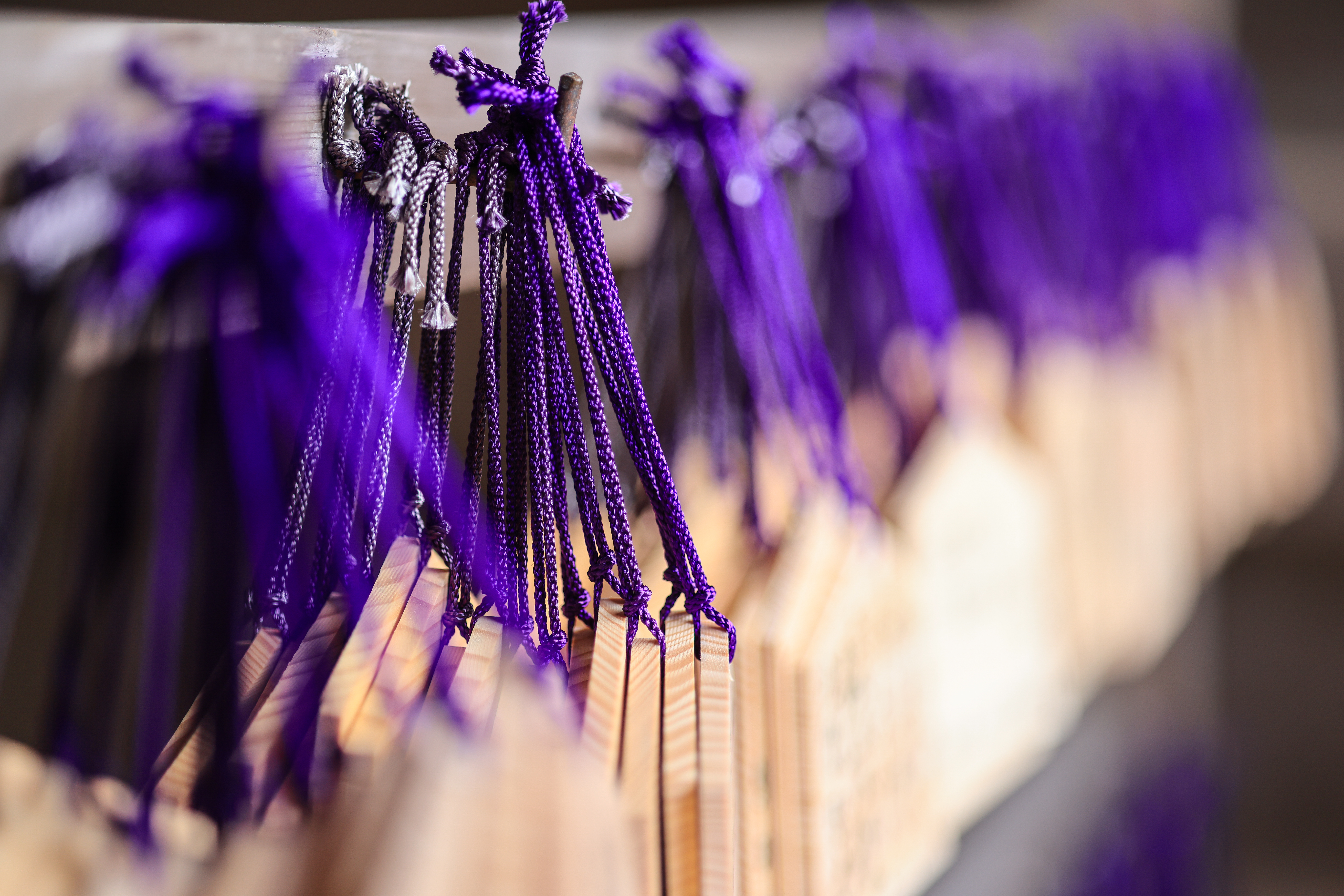 EOS R5 / RF85mm F2 MACRO IS STM / 絞り優先AE（F2・1/320秒・-0.7EV）/ ISO 400