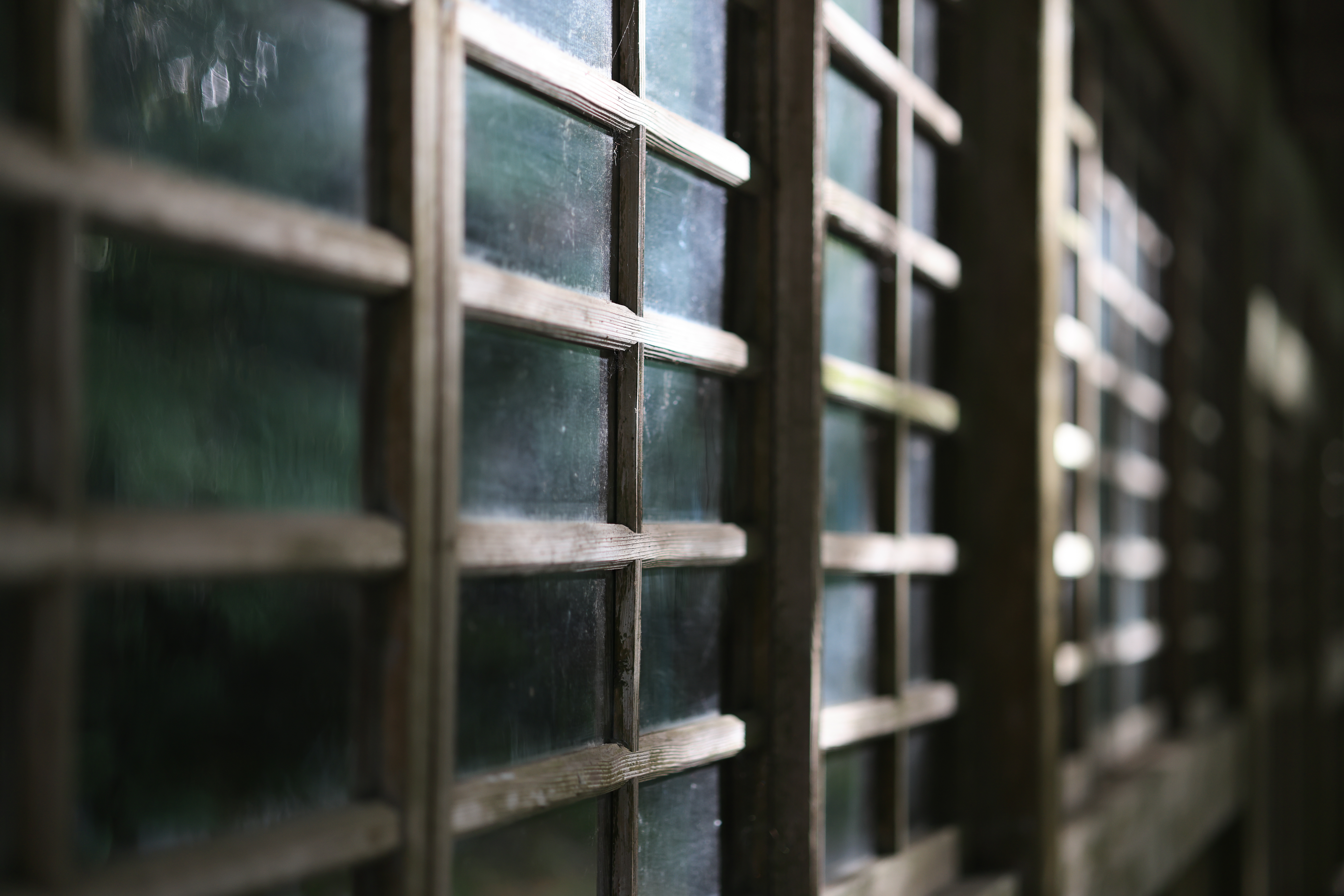 EOS R5 / RF85mm F2 MACRO IS STM / 絞り優先AE（F2・1/160秒・±0EV）/ ISO 400