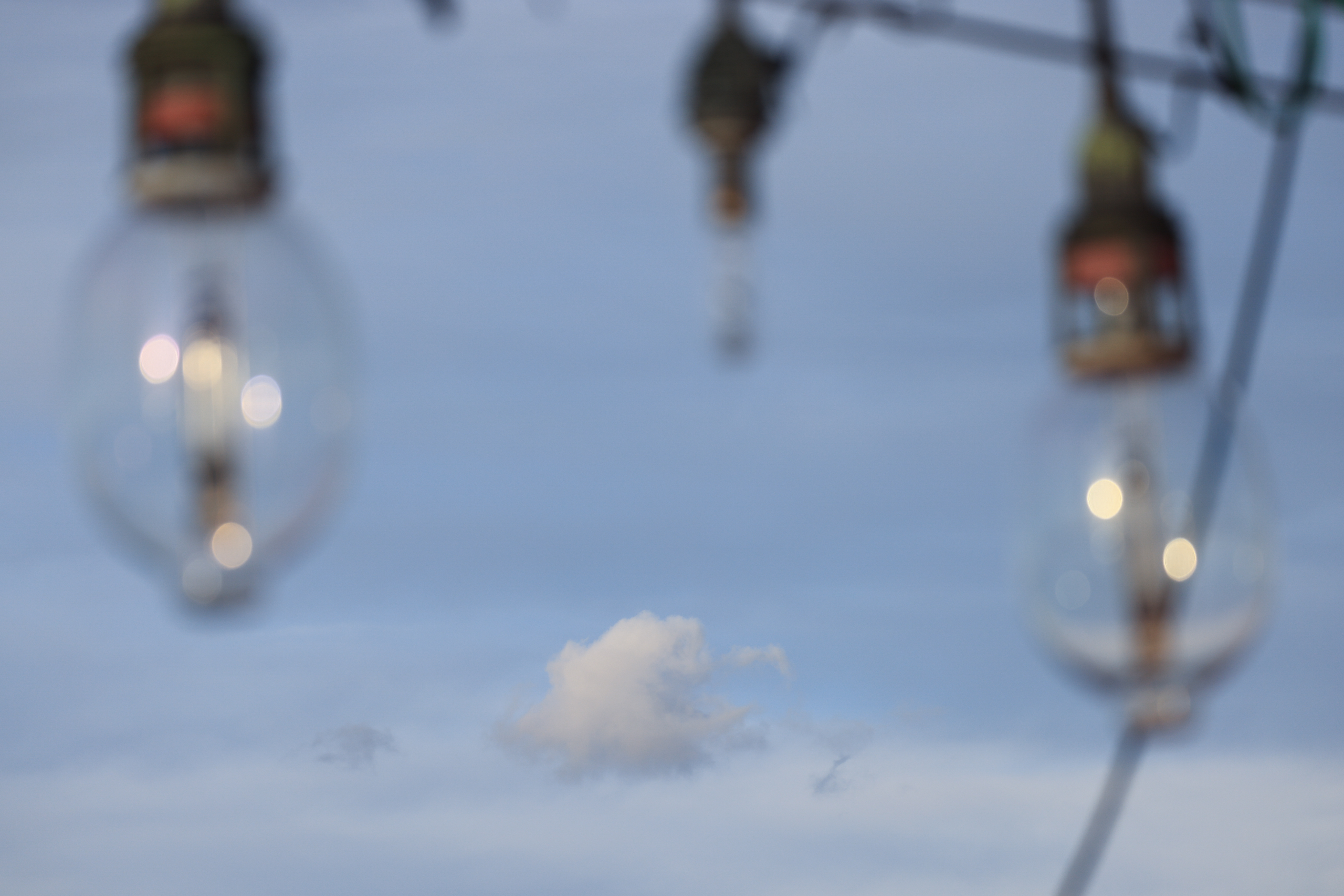 EOS R5 / RF100-500mm F4.5-7.1 L IS USM（176mm）/ 絞り優先AE（F5・1/1,000秒・±0EV）/ ISO 100