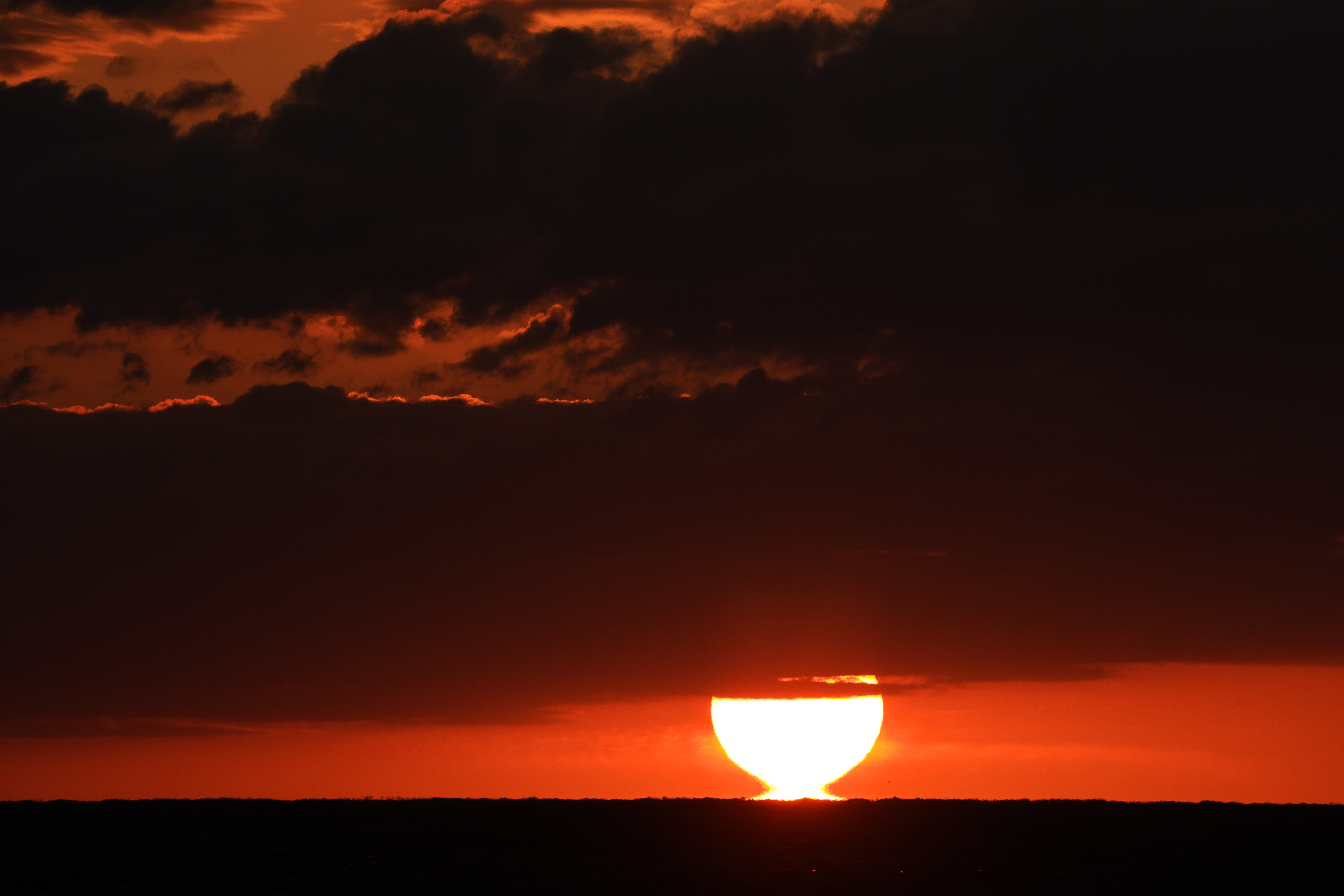 EOS R5 / RF100-500mm F4.5-7.1 L IS USM（500mm）/ 絞り優先AE（F11・1/1000秒・±0EV ）/ ISO400