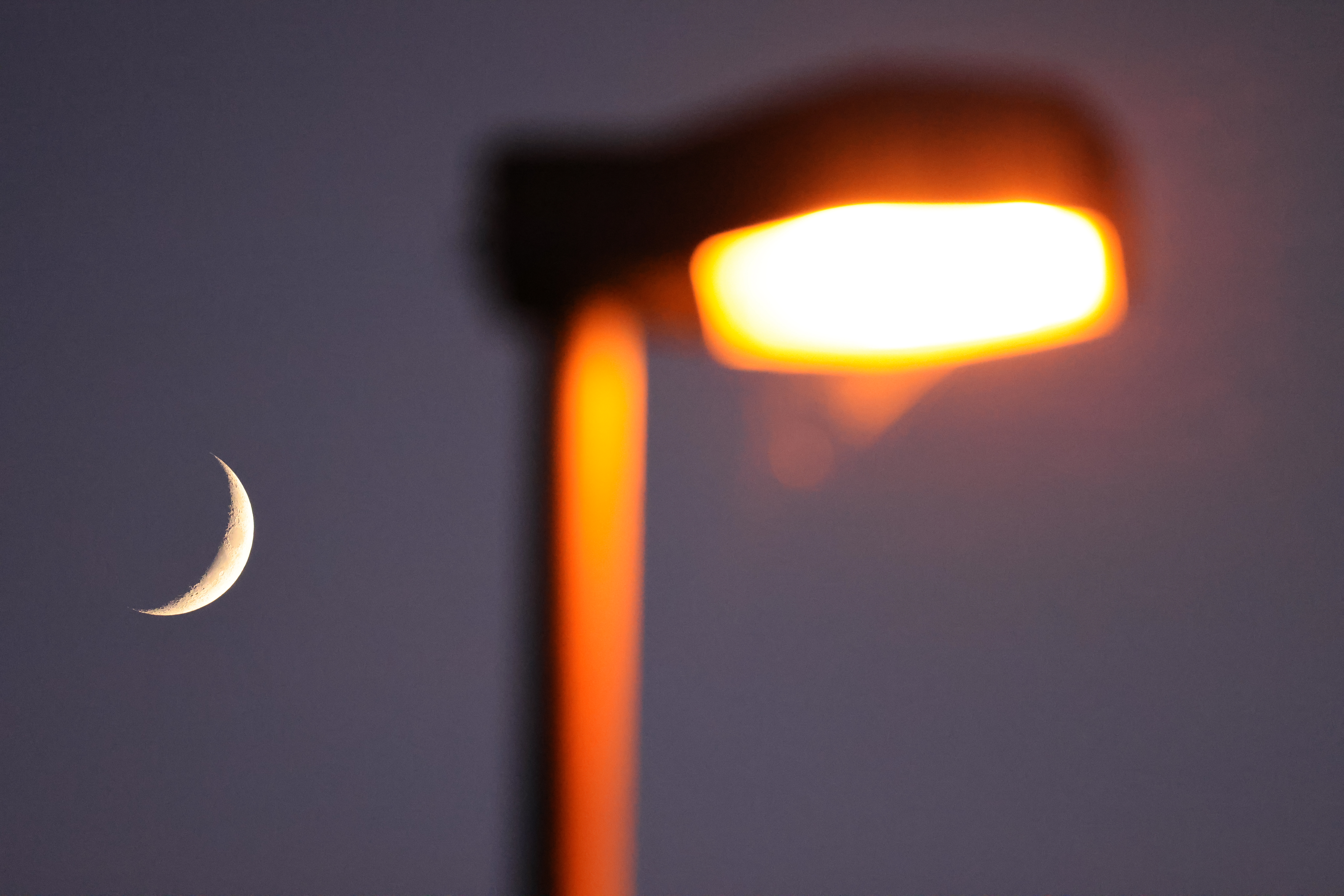 EOS R5 / RF100-500mm F4.5-7.1 L IS USM（500mm）/ 絞り優先AE（F6.7・1/750秒・±0EV）/ ISO 12800