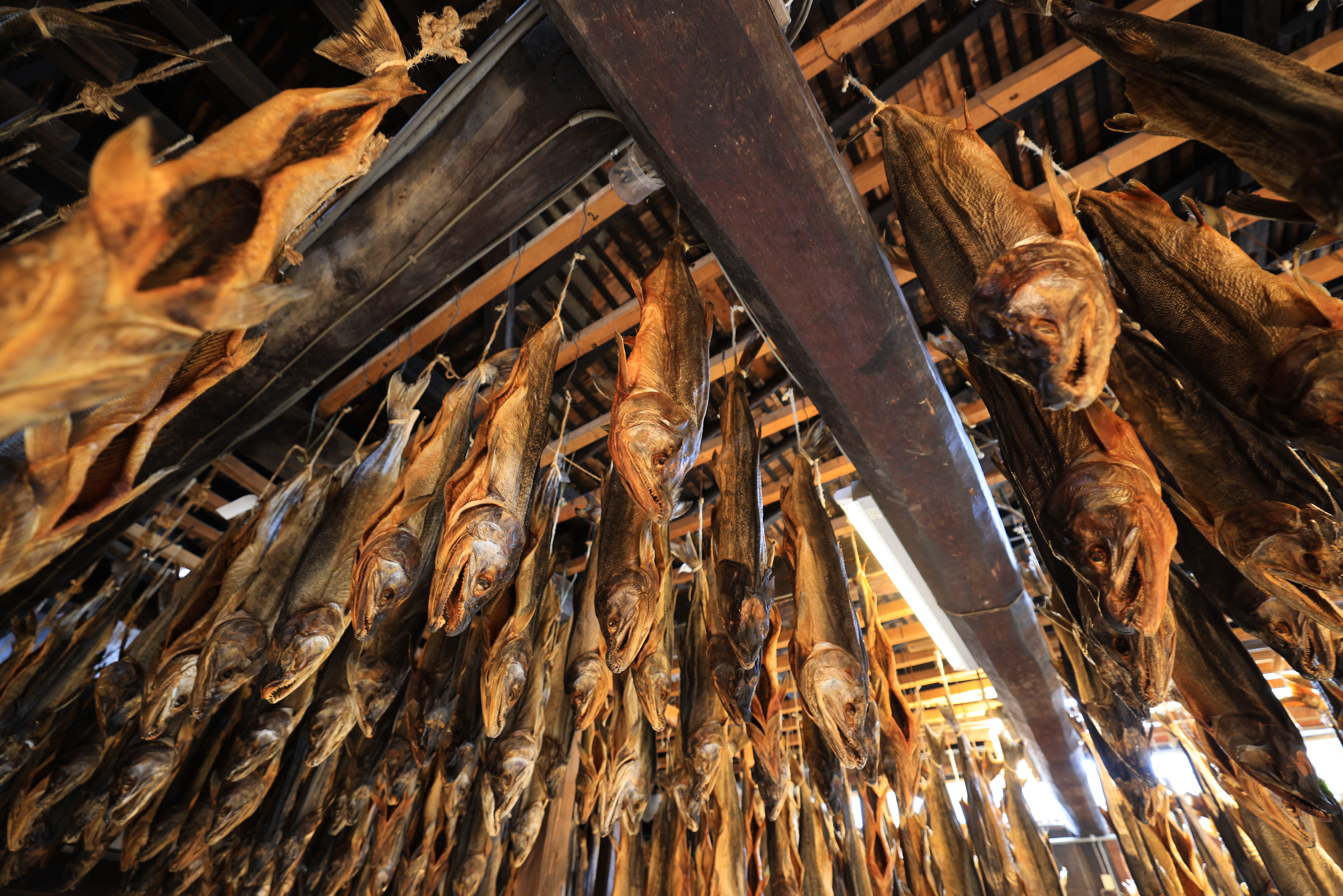 EOS R5 / RF15-35mm F2.8 L IS USM（15mm）/ 絞り優先AE（F2.8・1/6秒・±0EV）/ ISO 400