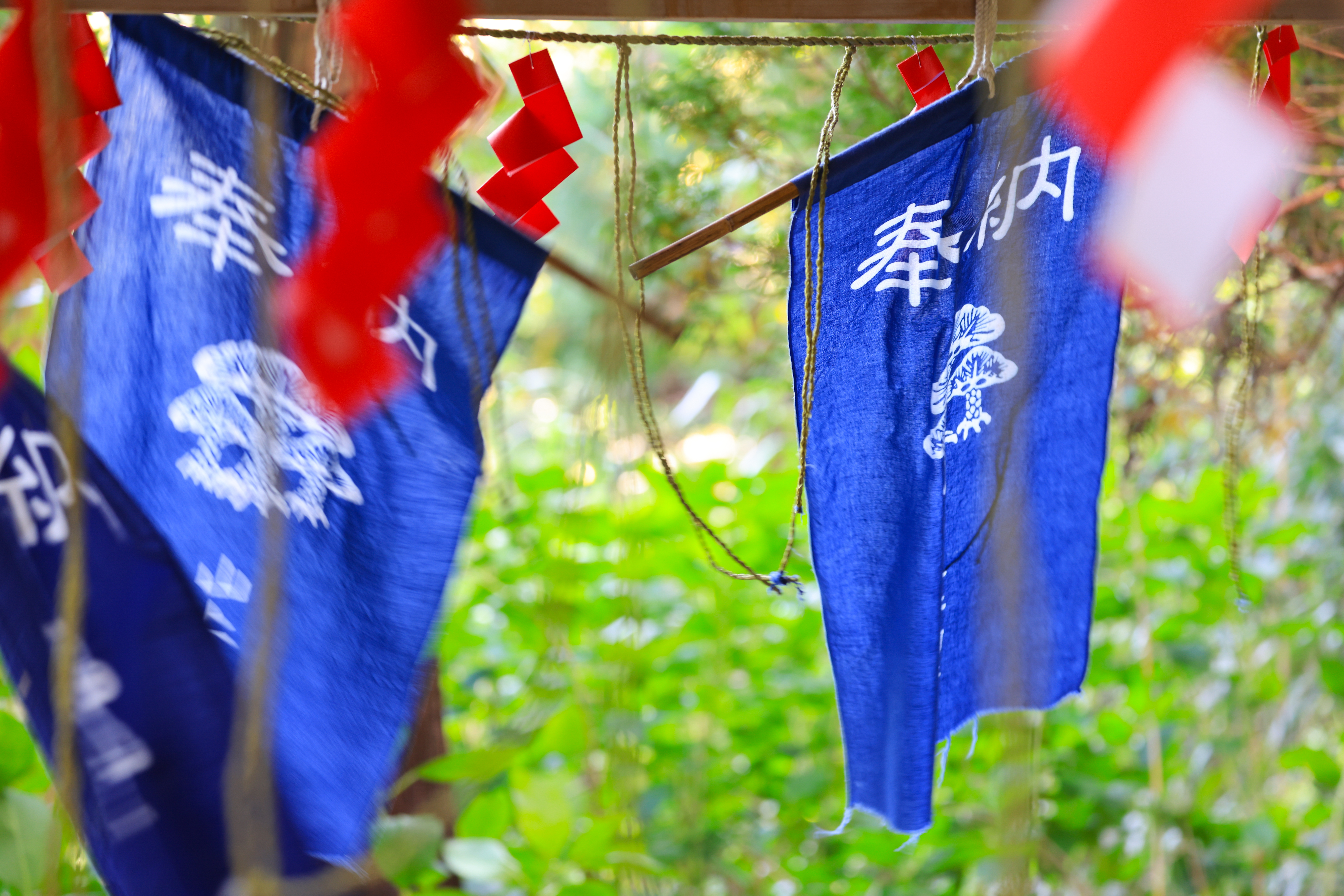 EOS R5 / RF100-500mm F4.5-7.1 L IS USM（100mm）/ 絞り優先AE（F5・1/8秒・+0.3EV）/ ISO 400