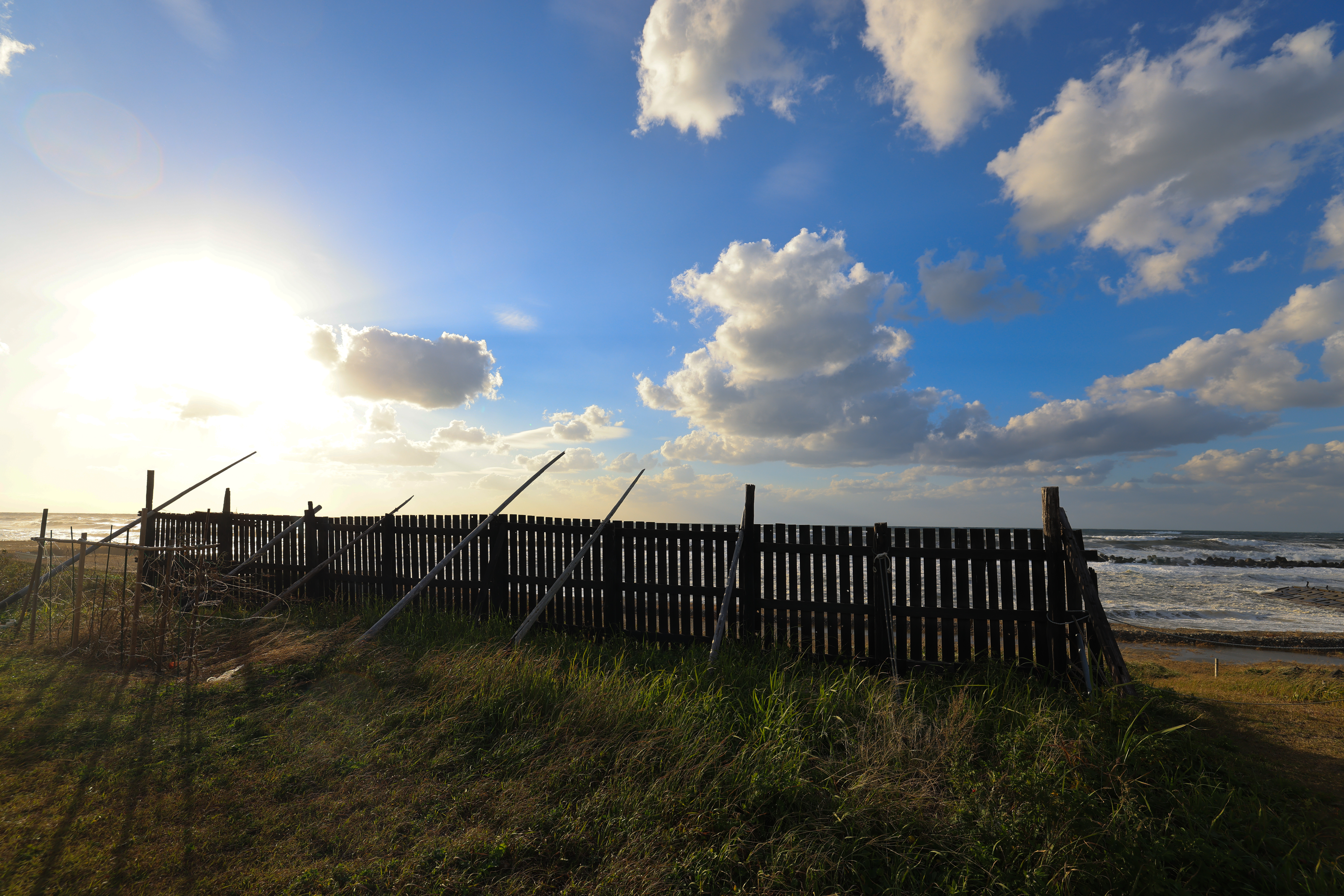 EOS R5 / RF15-35mm F2.8 L IS USM（15mm）/ 絞り優先AE（F6.3・1/500秒・+0.7EV）/ ISO 100