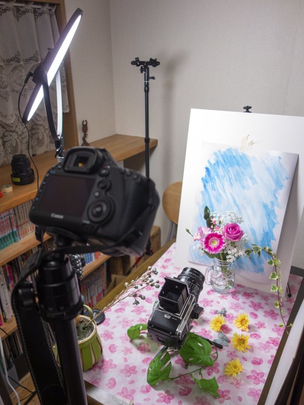 トップに掲載したカットを撮影しているシーン。多くの写真愛好家の参考になるように、スタジオではなく自宅リビングの一角で撮影。「Nuada R3 II」は円盤状の薄い本体のため、狭いすき間でもセッティングでき、散らかった部屋の隅でも作品が生み出せる。カメラは三脚に乗せているが、実際は手持ちで撮影