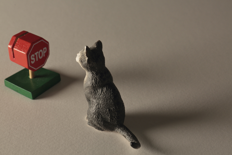 「Nuada R3 II」が生み出す影は本当に美しい。ポツンとモノを置くだけでもストーリーが生まれるような、そんな趣がある。ちなみに、「Nuada R3 II」を被写体に近付けると影はぼやけ、遠ざけるとハッキリとした形状になる。小物の撮影では覚えておきたい特性だ