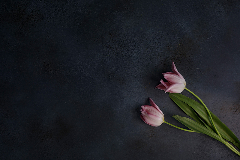 フィルターなし（左）・フィルターあり（右）