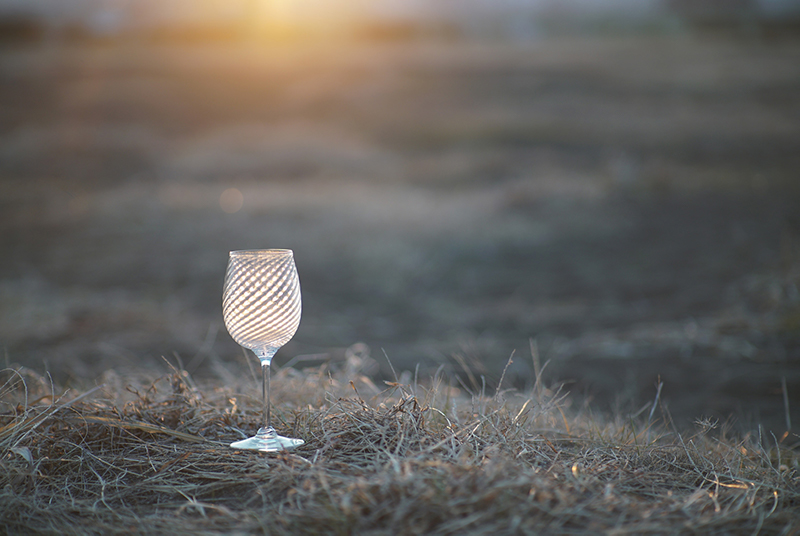 フィルターなし（左）・フィルターあり（右）