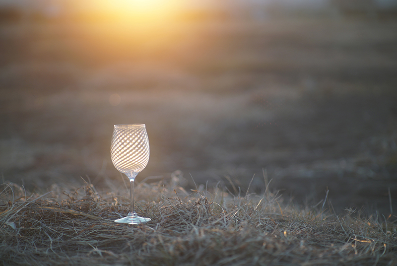 フィルターなし（左）・フィルターあり（右）