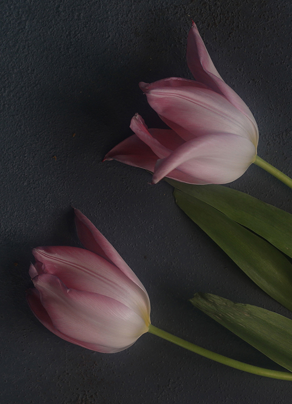 花脈の線や背景紙のテクスチャまで、ディテールを失わないとしている