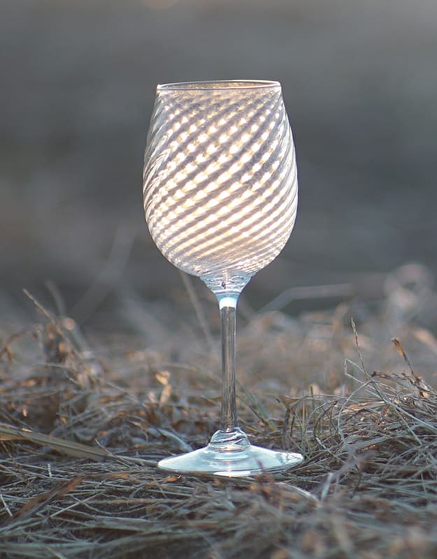 ピント面のグラスや枯草は芯のある描写を保つという