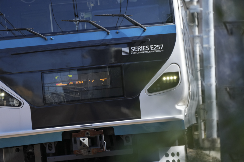 撮影：桃井一至