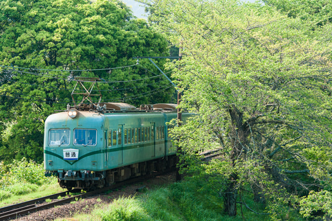 大井川鐵道、桜シーズンの日帰りプラン「のんびり昭和レトロ列車&SLの