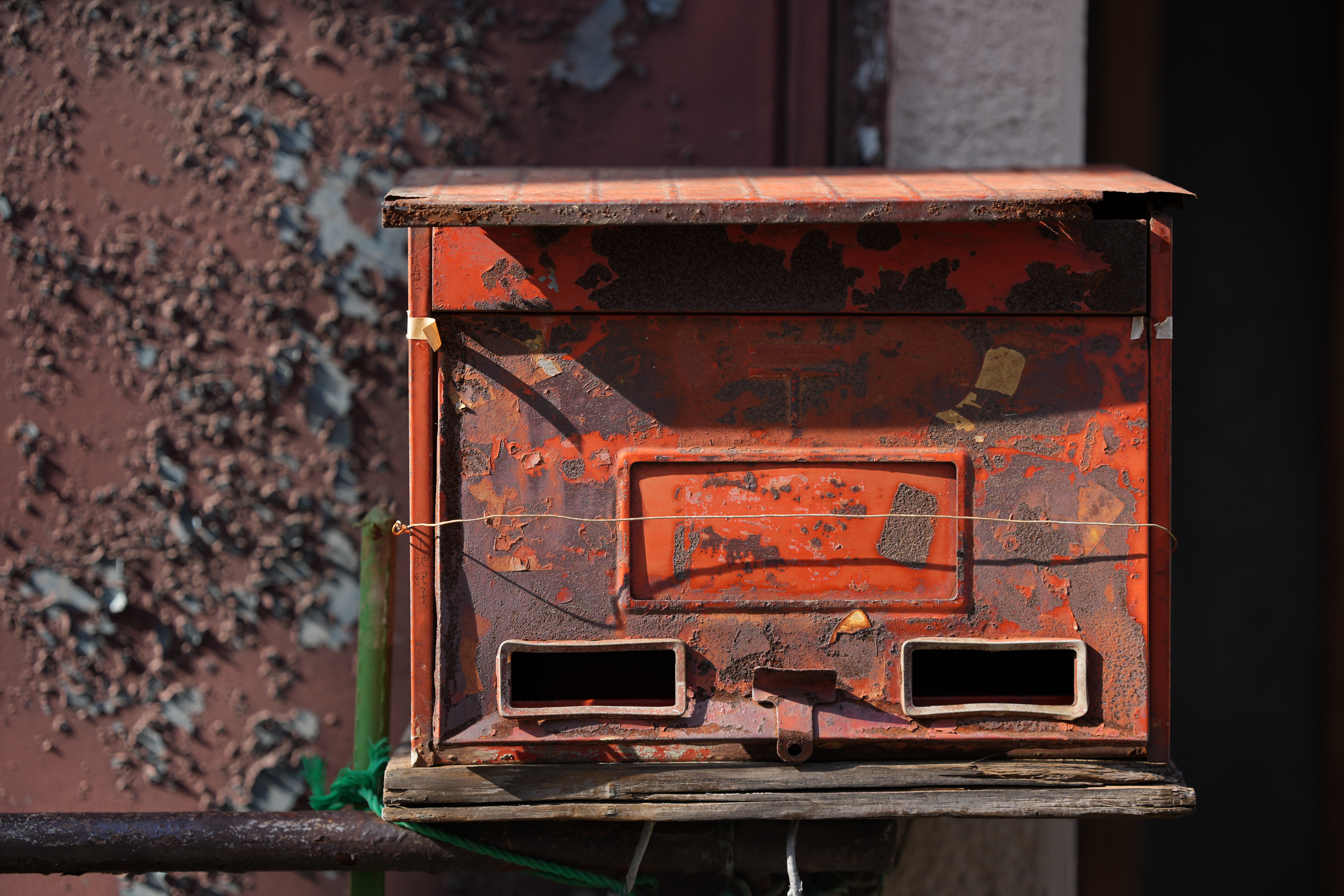 <span class="fnt-85">α1 / SIGMA 65mm F2 DG DN｜Contemporary / 絞り優先AE（F2.2・1/1,000秒・-0.7EV） / ISO 100</span>