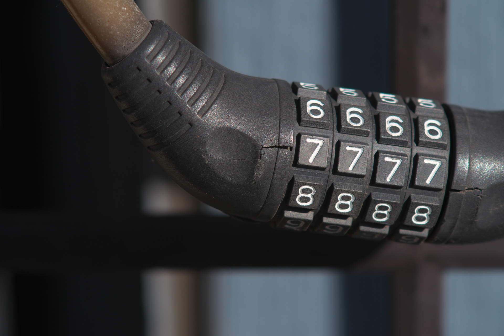 K-1 Mark II+F AFアダプター1.7×　smc PENTAX-A  DENTALマクロ100mm F4（F10・1/500秒）ISO 400