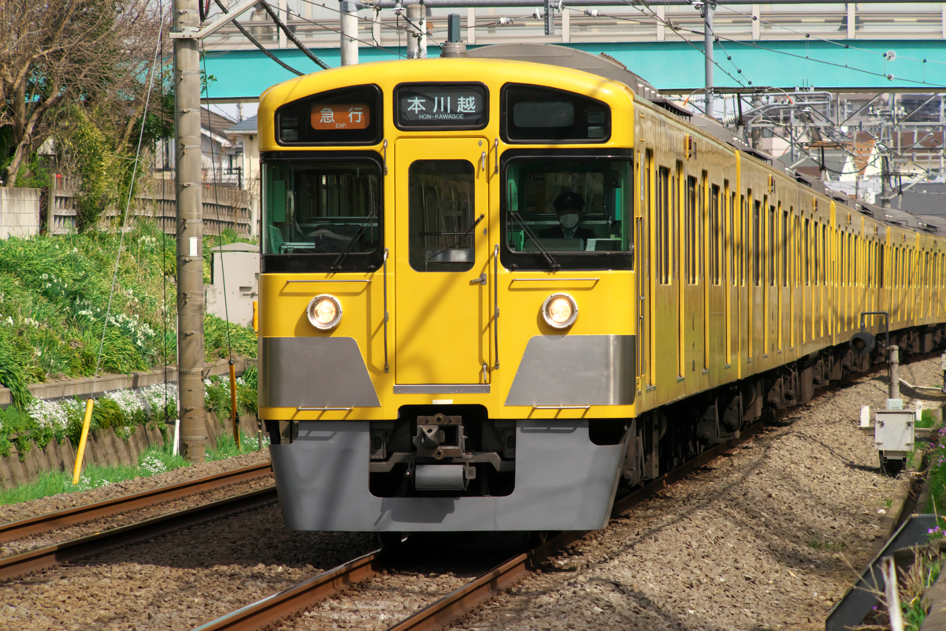 K-1 Mark II+F AFアダプター1.7×　smc PENTAX ZOOM  85-210mm F3.5（F4.5・1/2,000秒）ISO 1600